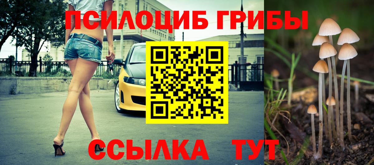 Псилоцибиновые грибы мицелий Нижний Новгород