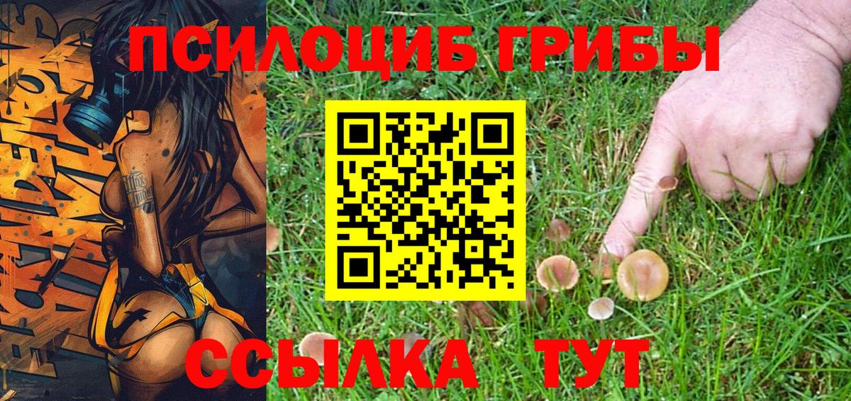 как найти закладки  Псилоцибиновые грибы Magic Shrooms  Вход с VPN  Нижний Новгород 